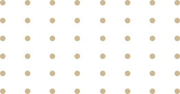 https://www.bitechjapangasket.co.id/wp-content/uploads/2020/04/floater-gold-dots.png